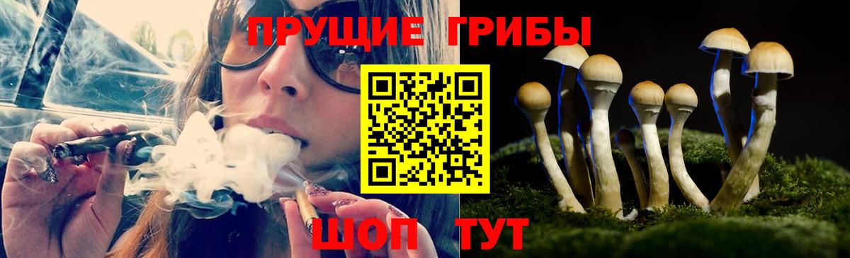 Галлюциногенные грибы Magic Shrooms Армавир